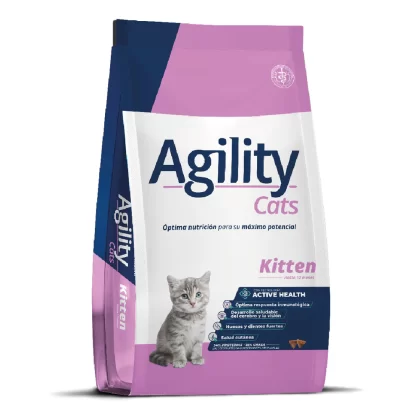 AGILITY GATO CACHORRO KITTEN