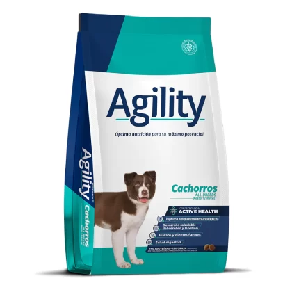 AGILITY PERRO CACHORRO PUPPY