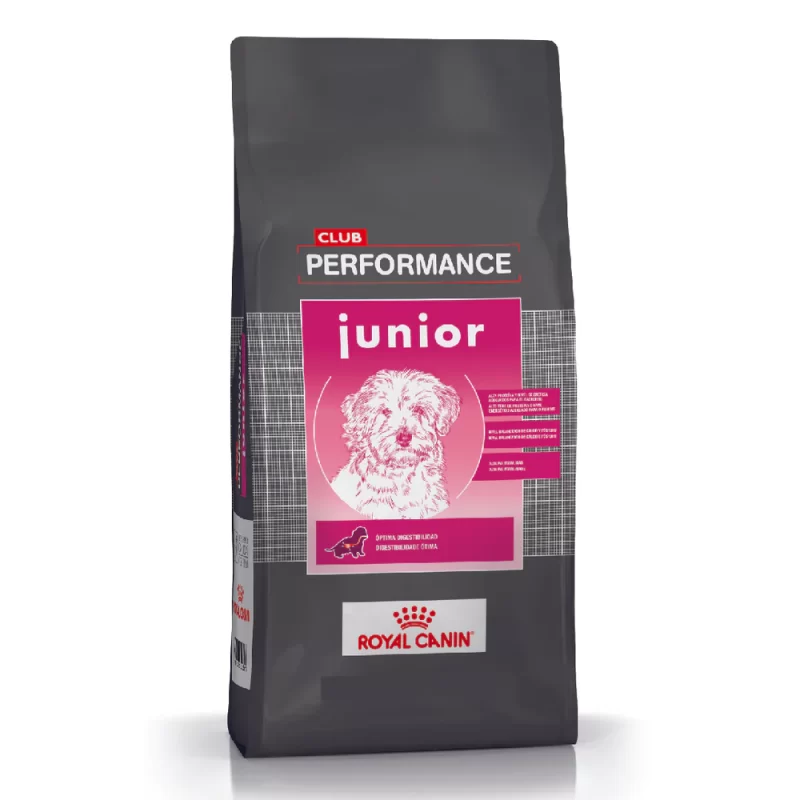 CLUB PERFORMANCE PUPPY CACHORRO DOG JUNIOR
