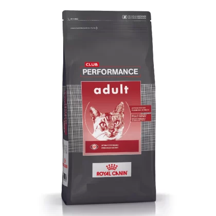CLUB PERFORMANCE GATO ADULTO