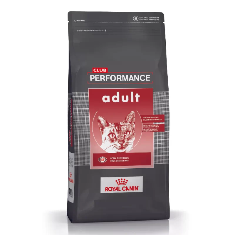 CLUB PERFORMANCE GATO ADULTO