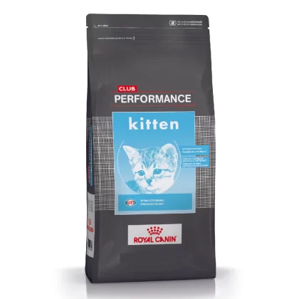 CLUB PERFORMANCE GATO CACHORRO KITTEN