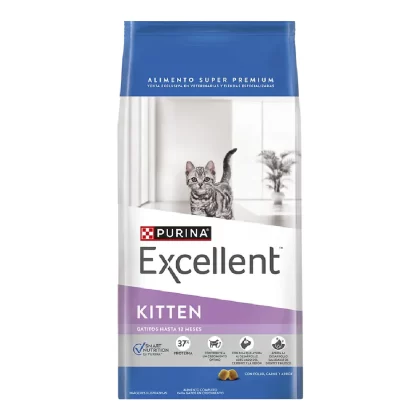 EXCELLENT GATO CACHORRO KITTEN