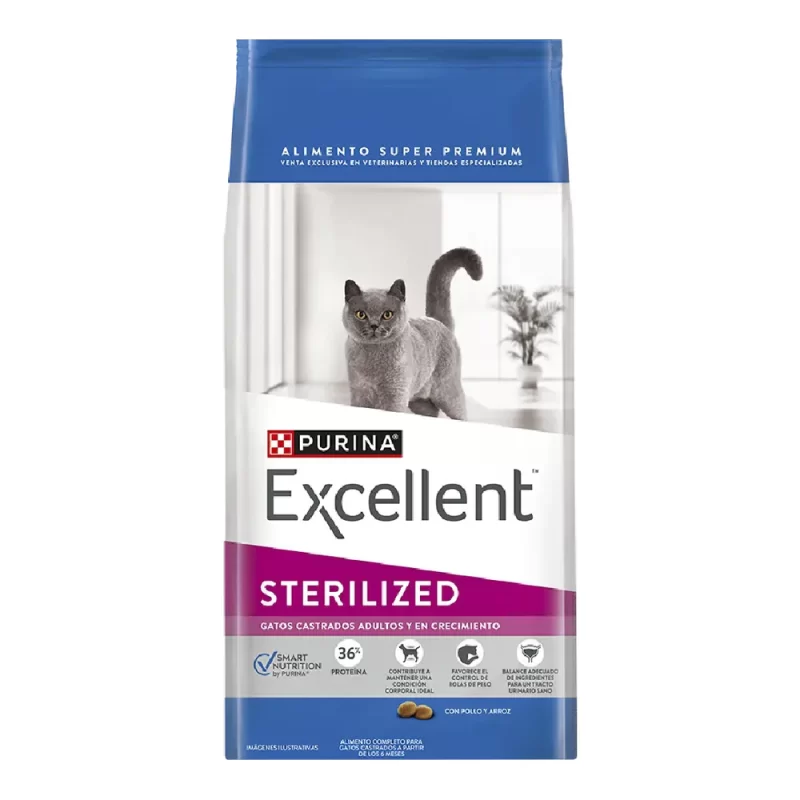 EXCELLENT GATO CASTRADO