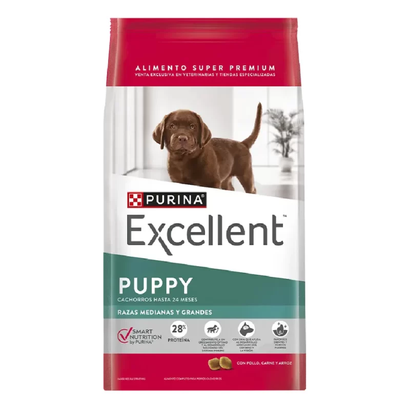 EXCELLENT PERRO CACHORRO PUPPY RAZA MEDIANA Y GRANDE