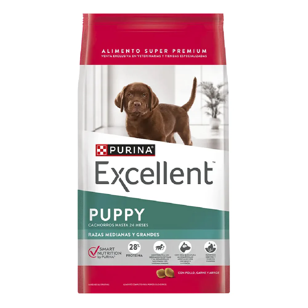 EXCELLENT PERRO CACHORRO PUPPY RAZA MEDIANA Y GRANDE