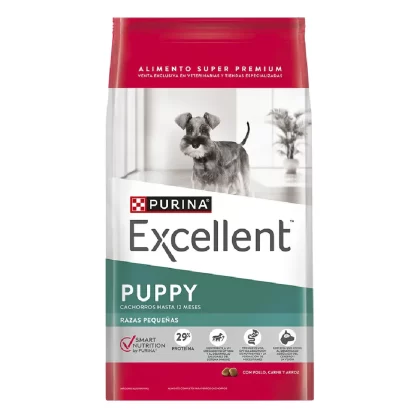 EXCELLENT PERRO CACHORRO PUPPY RAZA PEQUEÑA