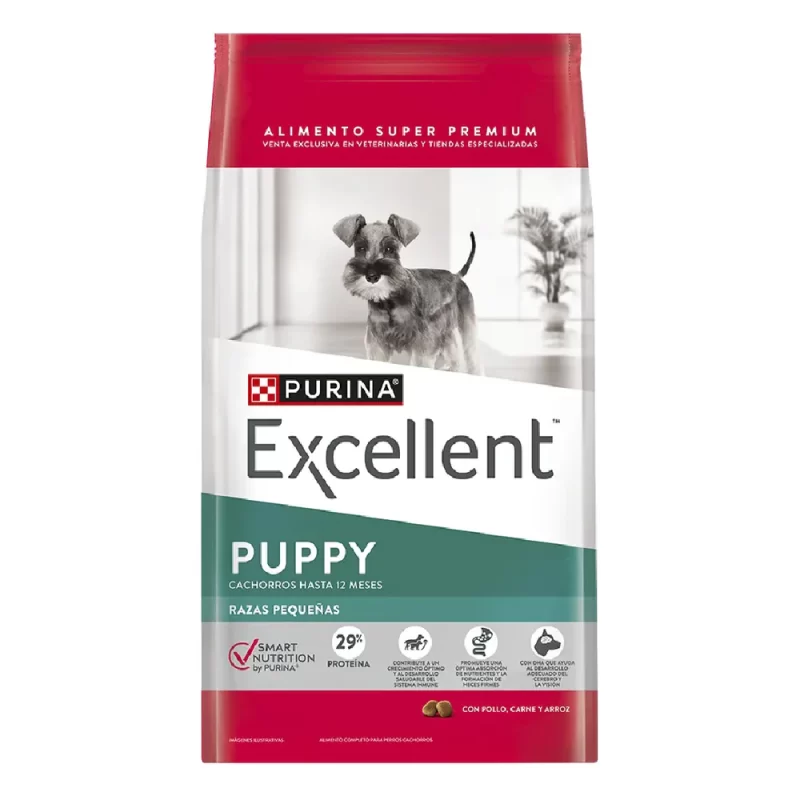 EXCELLENT PERRO CACHORRO PUPPY RAZA PEQUEÑA