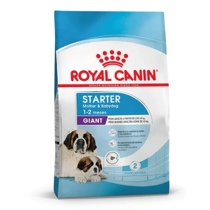 ROYAL CANIN PERRO STARTER MADRE Y CACHORRO GIANT